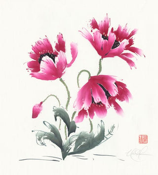 poppies