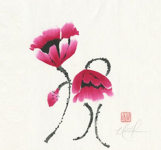 poppies