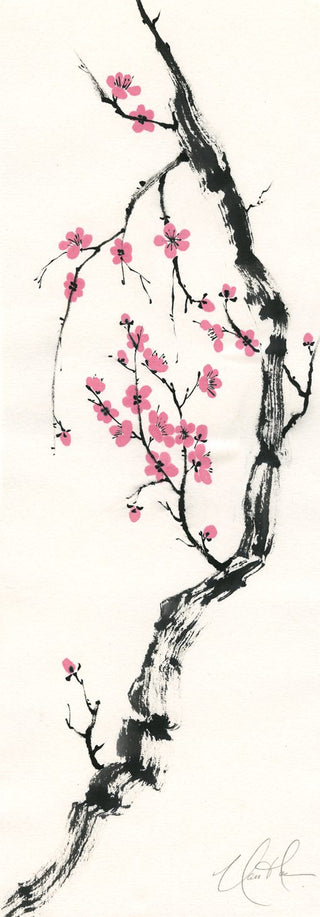 Announcing Spring II