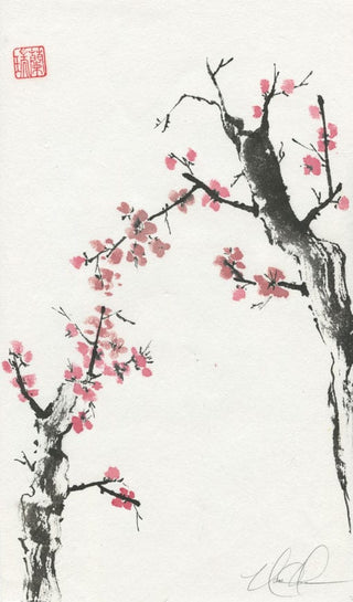 plum blossom