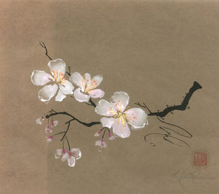 Sakura Spring