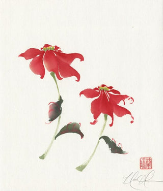 poinsettia