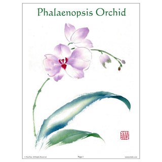 Phalaenopsis lesson by Nan Rae