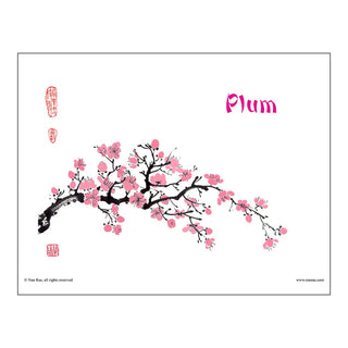 Plum Brush Painting Class Lesson by Nan Rae