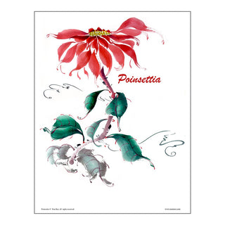 Poinsettia Brush Painting Class Lesson by Nan Rae