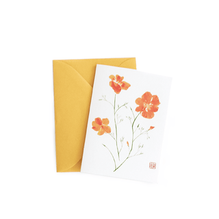 Poppy Gift Enclosure