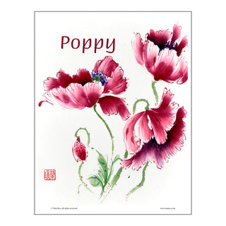 Poppy Brush Painting Class Lesson by Nan Rae