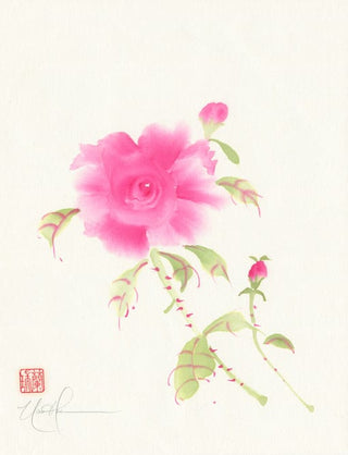 rose