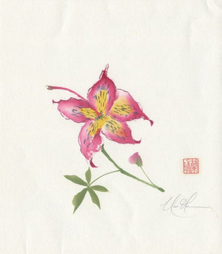 silk floss flower