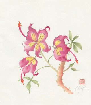 silk floss flower