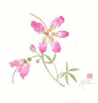 Silk I