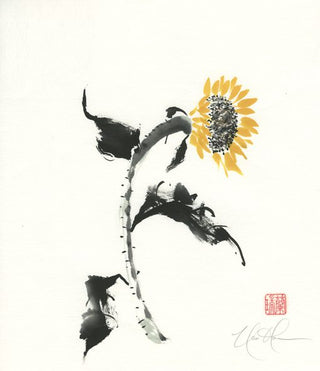 Seeds of Reflection