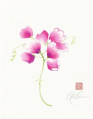 sweet pea