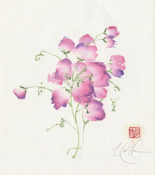 sweet pea flower