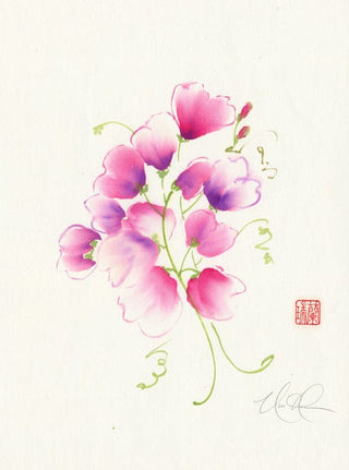 sweet pea