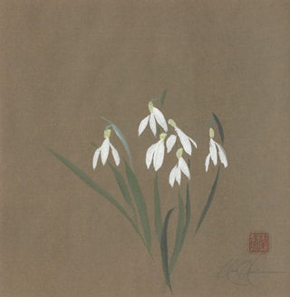 snowdrop