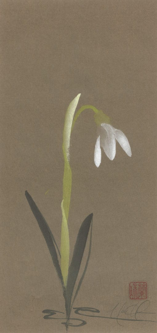 By Request – Nan Rae Studio