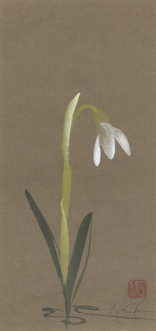snowdrop