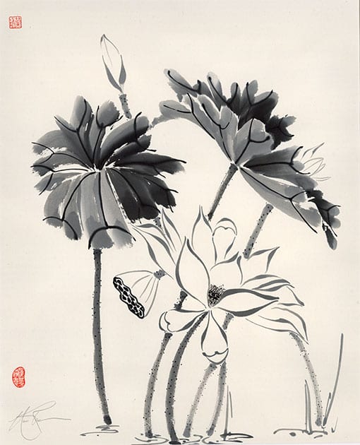 PrimeLotus – Nan Rae Studio