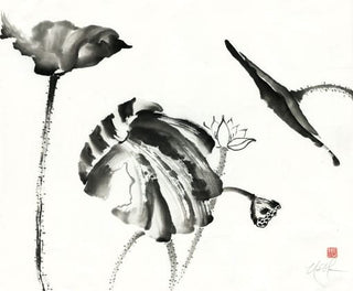lotus painting