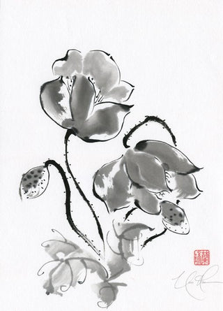 Ink Poppy