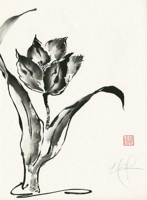 Tulip Meditation – Nan Rae Studio