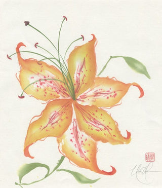tiger lily