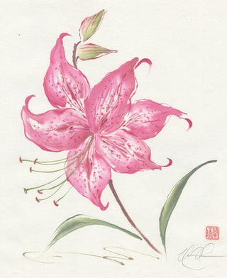dahlia