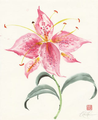 tiger lily