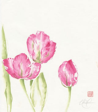 tulips