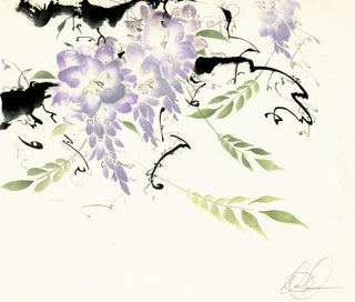 wisteria