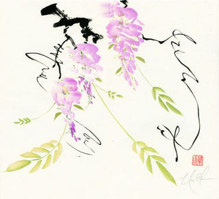 wisteria