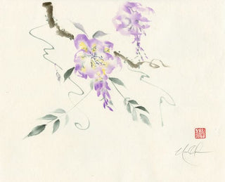 wisteria