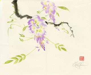wisteria