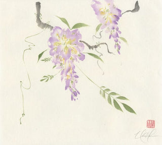 wisteria