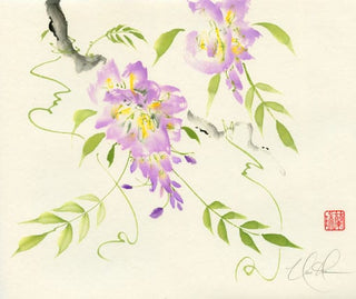 wisteria