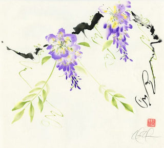 wisteria