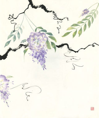 Wisteria