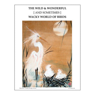 White Birds Class Lesson by Nan Rae