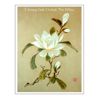 White Magnolia Brush Painting Class Lesson by Nan Rae